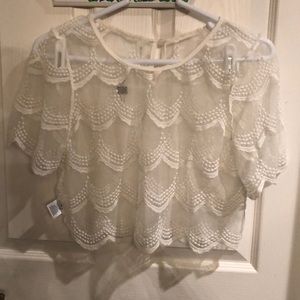 NWT Boutique Sheer Crop top